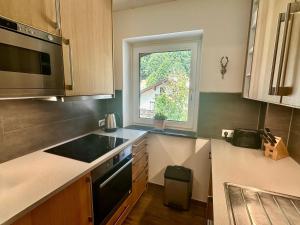 Kuchyňa alebo kuchynka v ubytovaní Appartement Riverview + 17 fotografií