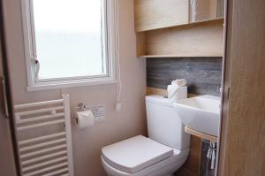 un piccolo bagno con un water e un lavandino di Premier Caravan 253 at Neptune Park a Tywyn Altre 39 foto