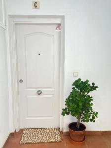 a plant in a pot next to a white door at La Alcaidesa Valerie & Bruno in San Roque