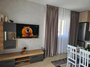 Μια τηλεόραση ή/και κέντρο ψυχαγωγίας στο Apartman Andjela
