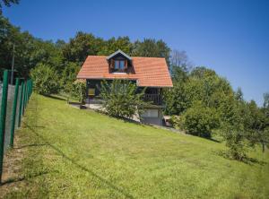 a house with a red roof on a grassy hill at Holiday Home MILa in Stubicke Toplice