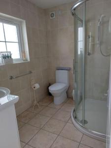 a bathroom with a toilet and a glass shower at The Beach House Annalong Cosy beachview cottage in Annalong