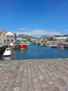 a group of boats docked in a river at The Beach House Annalong Cosy beachview cottage in Annalong +8 photos