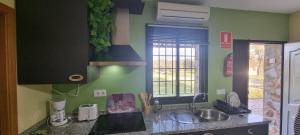 a kitchen with green walls and a sink and a window at Casas Rurales Racha Rachel, Zarza la Mayor in Zarza la Mayor