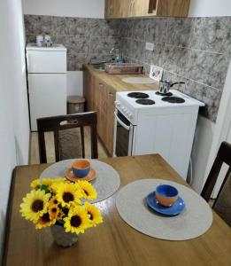 Kuchyň nebo kuchyňský kout v ubytování HiT apartmani Pačir 4&5