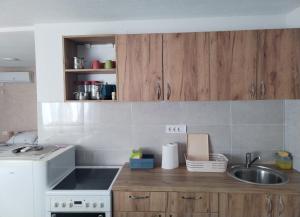 Kuchyň nebo kuchyňský kout v ubytování HiT apartmani Pačir 4&5