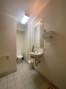 Koupelna v ubytování Guesthouse Hraunbaer