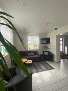 TV a/nebo společenská místnost v ubytování Guesthouse Hraunbaer