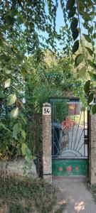 Gallery image of Emese Vendégház in Tiszafüred