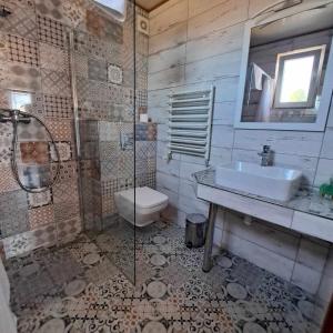 a bathroom with a shower and a sink and a toilet at Przystań Biskupińska in Biskupin +17 photos