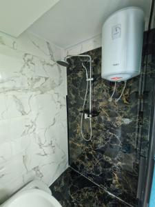 a bathroom with a toilet and a marble wall at Studio apartman 011 in Pluzine +10 photos