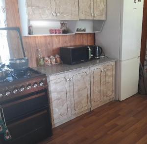 Kuchyň nebo kuchyňský kout v ubytování Wooden house ,,Tsunda"
