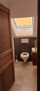a bathroom with a toilet and a sink with a skylight at L'ECUREUIL in Bousbach +18 photos