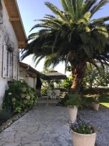 Κήπος έξω από το Maison des 5 fleurs 6 pers