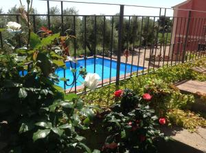 Bazén v ubytovaní Agriturismo Valcrosa alebo v jeho blízkosti