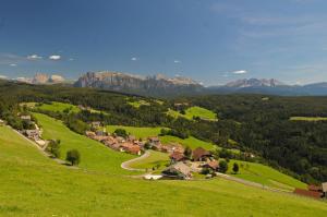 a village in a green field with mountains in the background at Pension Resy in Auna di Sopra