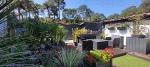 a garden with chairs and flowers in a backyard at Le resinier in Mimizan