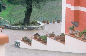 Vonkajšia záhrada v ubytovaní Agriturismo Valcrosa