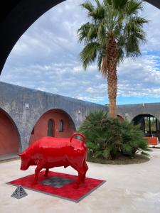 Gallery image of Villa Noraya Essaouira in Essaouira +35 photos