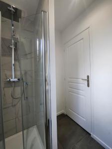 a bathroom with a shower and a glass door at Appart Hôtel PANAMBI in Larue +57 photos