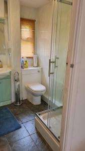 Un baño con inodoro y ducha de cristal. en 8 The Coombe, en Kilkhampton 4 fotos más
