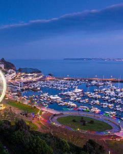a harbor with boats in the water at night at Carranade yacht in Torquay