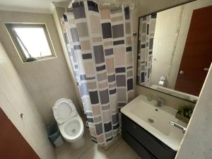 a bathroom with a toilet and a sink and a mirror at Edificio INMOBILIA - Av Argetina 2 dormitorios in Antofagasta