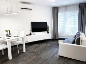 TV a/nebo společenská místnost v ubytování Downtown Apartments Pécs