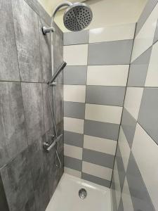 a bathroom with a shower with a glass door at Appartement cosy pour 2 personnes in Molinges