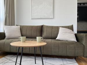 Area soggiorno di Apartman Crni Vrh - DivčiNova