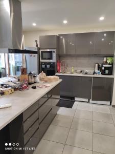 ストラスブールにあるMurat appartement 3 piecesのステンレス製の器具とカウンターを備えたキッチン