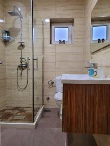 a bathroom with a shower and a sink and a toilet at Serenity Apartment in Bitola