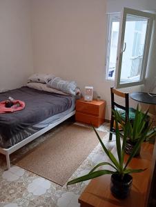 Postel nebo postele na pokoji v ubytování Großes modernes Zimmer "Silber" für 2 Personen und Katzenliebhaber