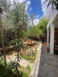 einen Garten mit Bäumen und Pflanzen an der Seite eines Hauses in der Unterkunft Ali's House in Marrakesch