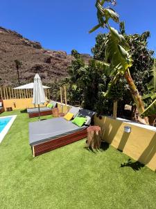 a bed in the grass next to a pool at SUNNY CARMELITO DELUXE in Mogán