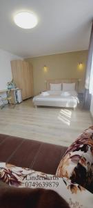 a large room with a bed at Lindenhaus in Sibiu