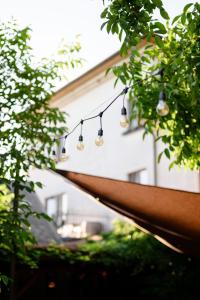Vonkajšia záhrada v ubytovaní Villa Daniela