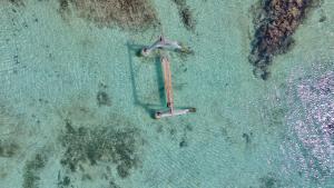 Paesaggio naturale nelle vicinanze dell'affittacamere