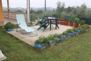 Assanha da PazにあるCasa Londrinoのパティオ(テーブル、椅子、鉢植えの植物付)