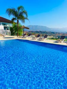 een groot zwembad met stoelen en palmbomen bij Your dream is real in La Cala de Mijas