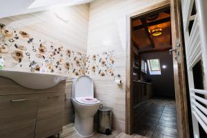 ラシュノフにあるCasa Diana Rasnovのトイレと犬が描かれた壁のあるバスルーム +66枚の写真