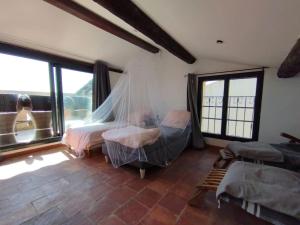 a bedroom with a bed with a mosquito net at Vue de rêve sur lagune de mer in Bages