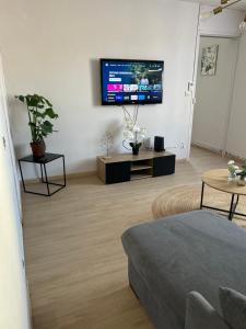 TV a/nebo společenská místnost v ubytování Copines'House