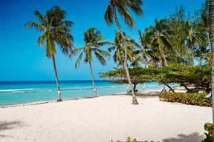 a beach with palm trees and the ocean at Coconut Court Beach Hotel in Bridgetown