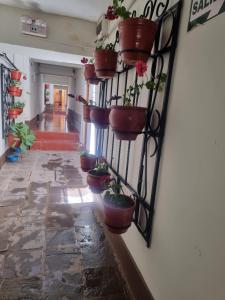 Imagen de la galería de Departamentos Cusco, en Cusco