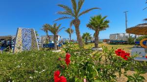 Zahrada ubytování Hotel de charme et SPA Dar El Bhar