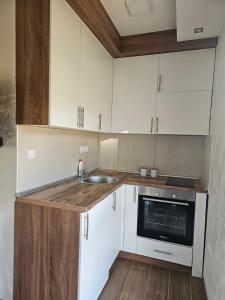 Nhà bếp/bếp nhỏ tại Apartman Zagorac