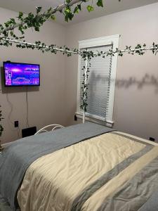 a bedroom with a bed and a flat screen tv at Garden Whisper Cozy Chamber in Cleveland
