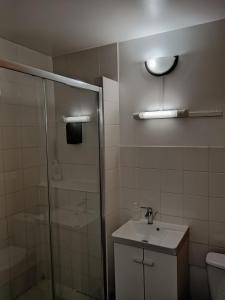 a bathroom with a shower and a sink and a toilet at Paris cosy private room with shared space - Chambre privée avec espace commun Paris in Vitry-sur-Seine +33 photos