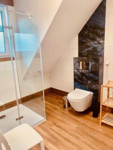 a bathroom with a shower and a toilet at Rafa Trzęsacz in Trzęsacz